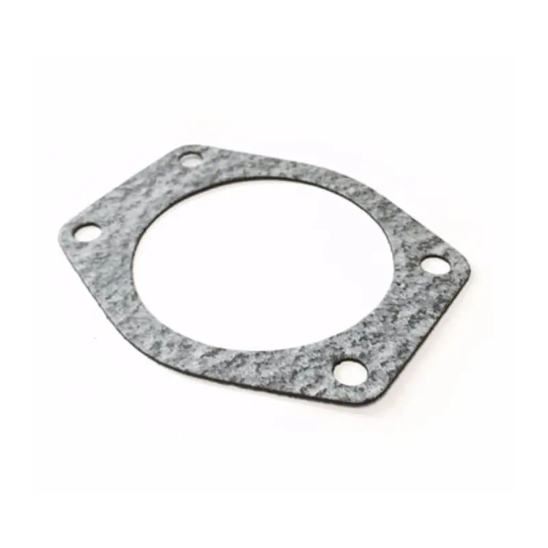 RD Diesels Pump Gasket